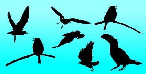 aves, ave, silueta, vector