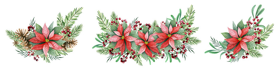 Christmas compositions with poinsettia flowers, leaves, red berries, spruce branches. Hand drawn isolated watercolor illustrations.