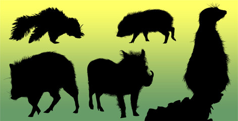 silueta, animal, puerquito, jabali