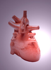 Human heart model ,concept of cardiology, health care, human organ transplant