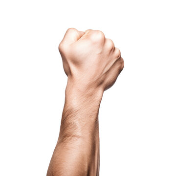 a holding fists up, hand gesture . isolated on a transparent background (PNG cutout or clipping path).