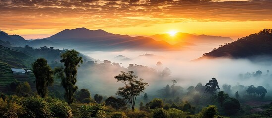 Fototapeta na wymiar Captured and edited stunning sunrise fog in the jungle
