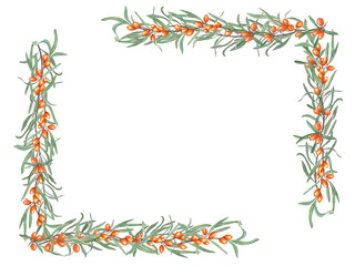 Fototapeta na wymiar Rectangle frame with Sea buckthorn branches. Sandthorn, sallowthorn. Orange berries, green leaves. Watercolor illustration for postcard, invitation template, birthday, package, cosmetic design