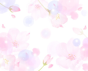 Fototapeta na wymiar かわいい薄いピンク色の桜の花と花びら春の水彩白バックフレーム背景素材イラスト