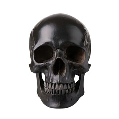 Fototapeta premium realistic human skull, isolated on a transparent background with a PNG cutout or clipping path.