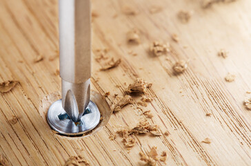 screwdriver screw in a wood oaks plank
