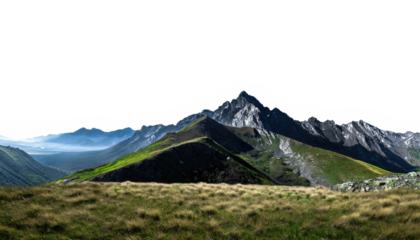 Panorama of a rocky mountain meadow with larch trees and mountain range in the background