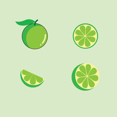 lime vector collection. Lime fruit on a green background. Vector illustration for design and printing