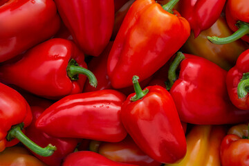 Juicy red sweet peppers have just been picked and lie on the table as a background.