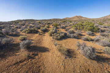 hiking the lost horse mine loop trail in joshua tree national park, california, usa