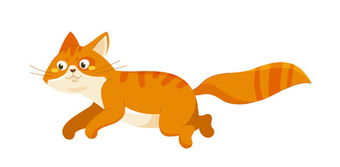 Cute orange cat vector