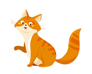 Cute orange cat vector