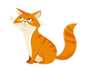Cute orange cat vector