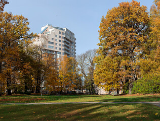 Beautiful autumn park with tall trees with yellow foliage and green grass lawns in Riga. Latvia....