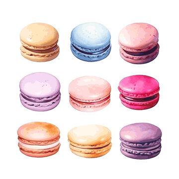 color macarons art drawn watercolor style on white background for food design