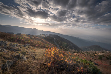 Fototapeta premium Autumn Colors On Gomis Mta