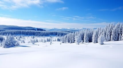 
Stunning panorama of snowy landscape in winter in Black Forest - Snow winter wonderland snowscape with blue sky