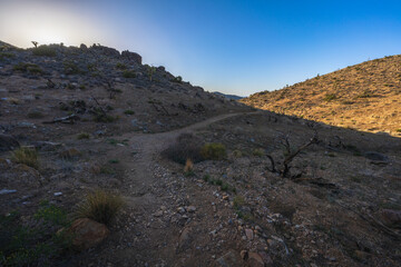 hiking the lost horse mine loop trail in joshua tree national park, california, usa