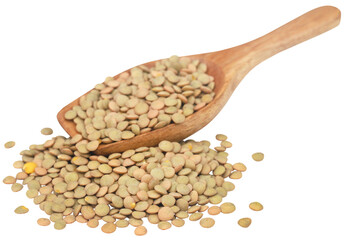 Green lentils