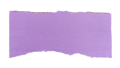 blank ripped violet torn cardboard piece, copy space for text ,note paper piece label , isolated on a transparent background. PNG, cutout, or clipping path	
