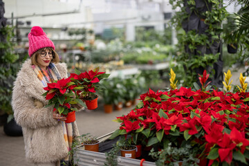 Woman chooses Christmas flower at plant shop, preparing for a winter holidays. Concept of shopping...