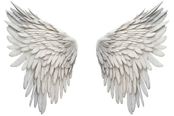 realistic angel wings. White wing, isolated on a transparent background. PNG, cutout, or clipping path. - obrazy, fototapety, plakaty
