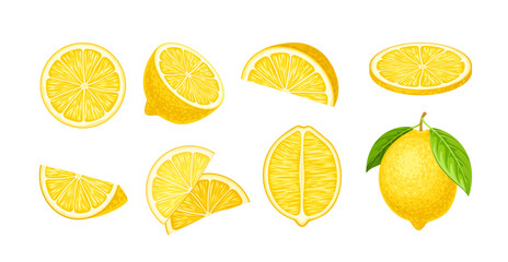 Citrus slices vector set