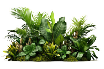 Fototapeta na wymiar Green leaves of tropical plants bush (Monstera, palm, rubber plant, pine, bird's nest fern) floral arrangement indoors garden nature backdrop. PNG, cutout, or clipping path. 