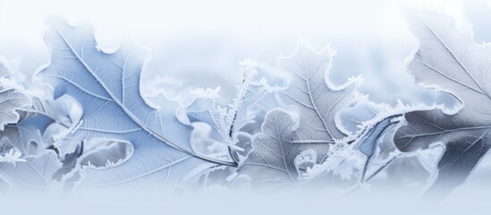 Abstract background frozen oak leaves