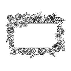 Frame with raspberries, hand drawn black and white graphic vector illustration. Isolated on a white background. For packaging, labels and printed products. For banners and menus, posters and cards.