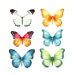 Watercolor colorful butterflies set on white background