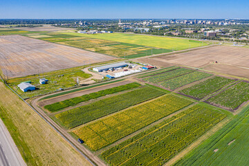 Scholastic Skies: Aerial Tour of University of Saskatchewan