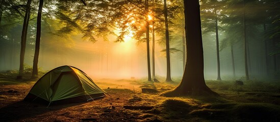 Camping in misty forest morning