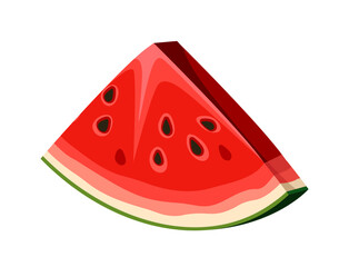 Watermelon watercolor drawing vector