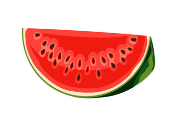 Watermelon watercolor drawing vector
