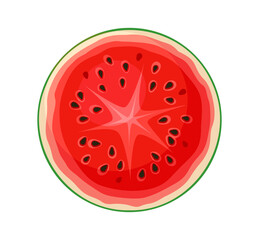 Watermelon watercolor drawing vector