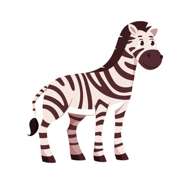 Zebra character vector concept
