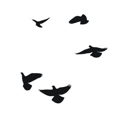 Silhouette sketch of a flock of flying birds, flight in different positions. Hover, soaring, landing, flying, flutter