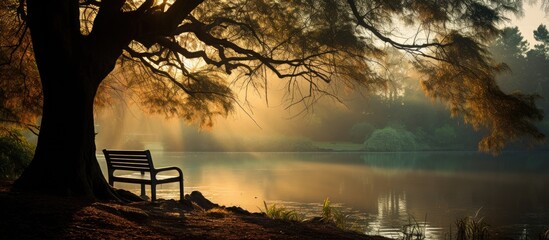 Calming haven peaceful silhouettes in nature