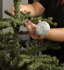 hands of a lady placing the first ornament on the Christmas tree