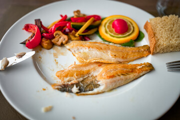grilled fish sea bass, with vegetables on a white plate