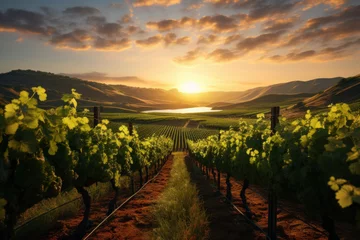 Fotobehang A sun-kissed vineyard with rows of grapevines, where the art of winemaking comes to life. Generative Ai. © Sebastian