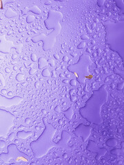 water drops on purple metallic background with autumn leaves