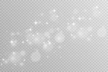 Brilliant dust vector shine. Glittering shiny ornaments for background. Vector illustration.
