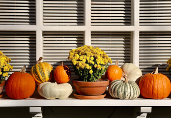 Halloween decoration on the front window sill