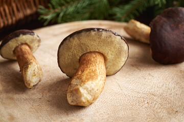 Pine boletes on a table - wild edible mushrooms