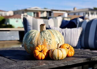 pumpkins on a wooden table