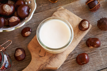Homemade ointment with fresh horse chestnuts