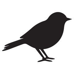 Bird black Silhouette bird 

