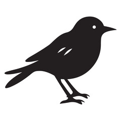 Bird black Silhouette bird 
